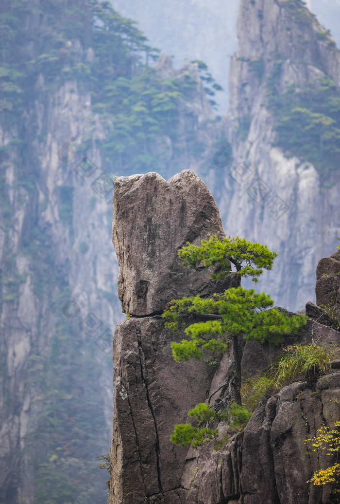 安徽黄山风景区自然风光