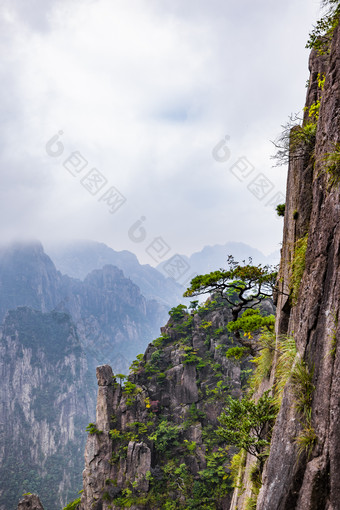 安徽黄山风景区自然风光图片