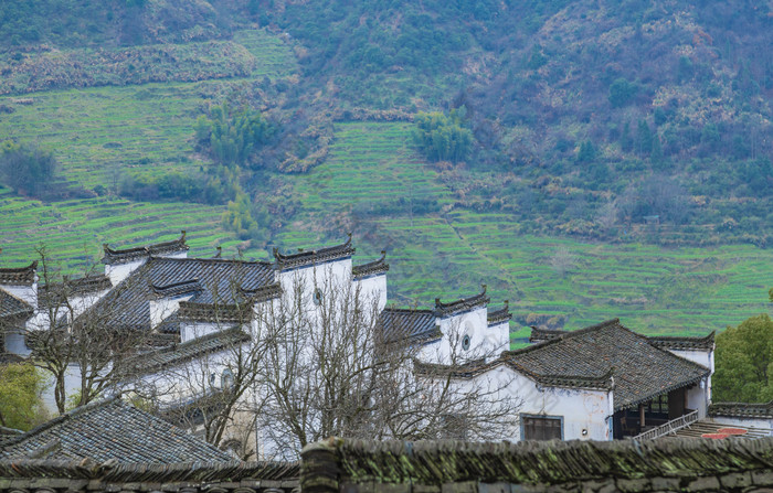 江西婺源篁岭景区风光