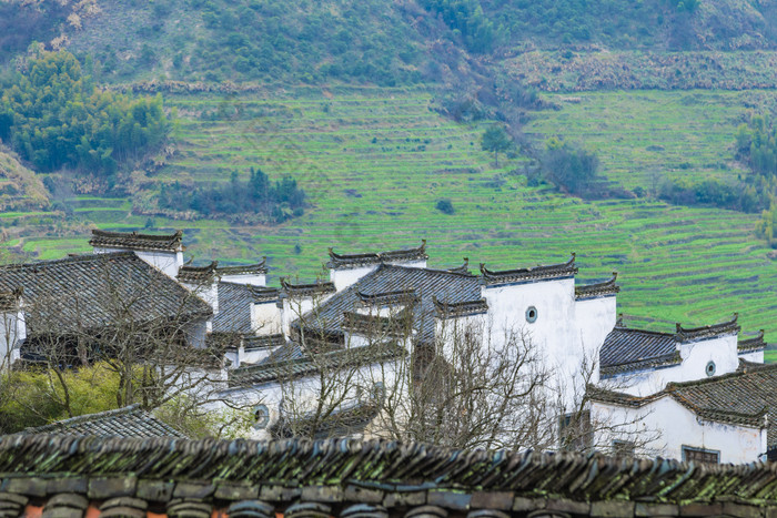 江西婺源篁岭景区风光