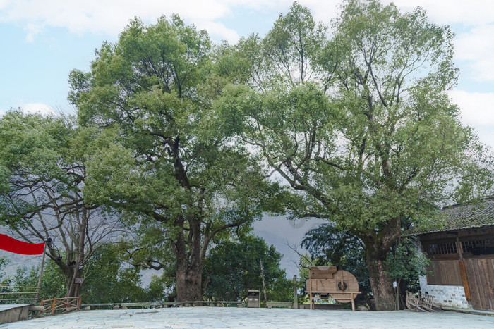 江西婺源篁岭景区风光