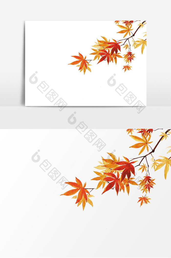 枫叶树叶装饰图片图片