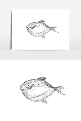 素描的海鱼