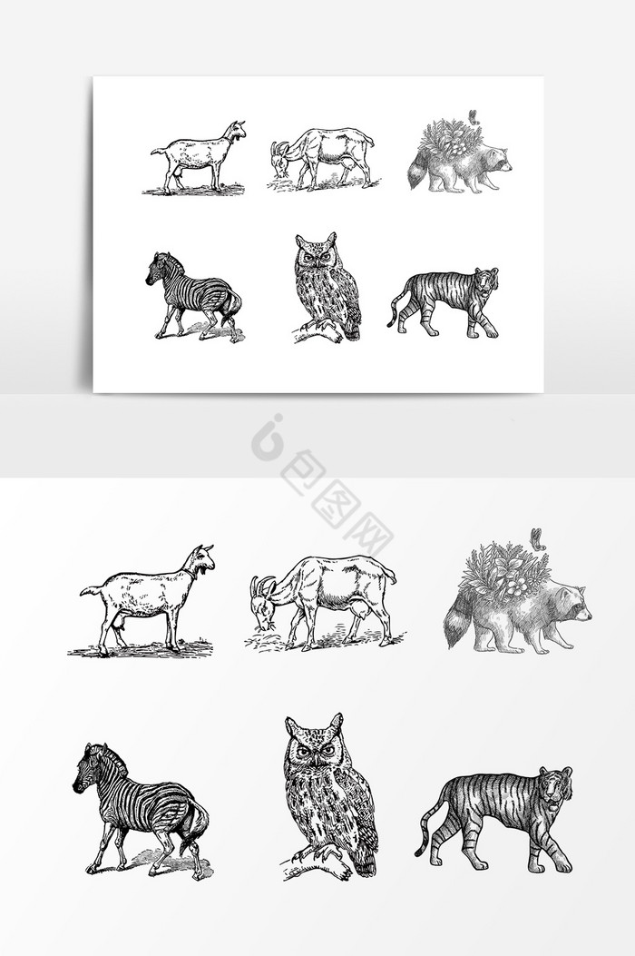 线描动物图片