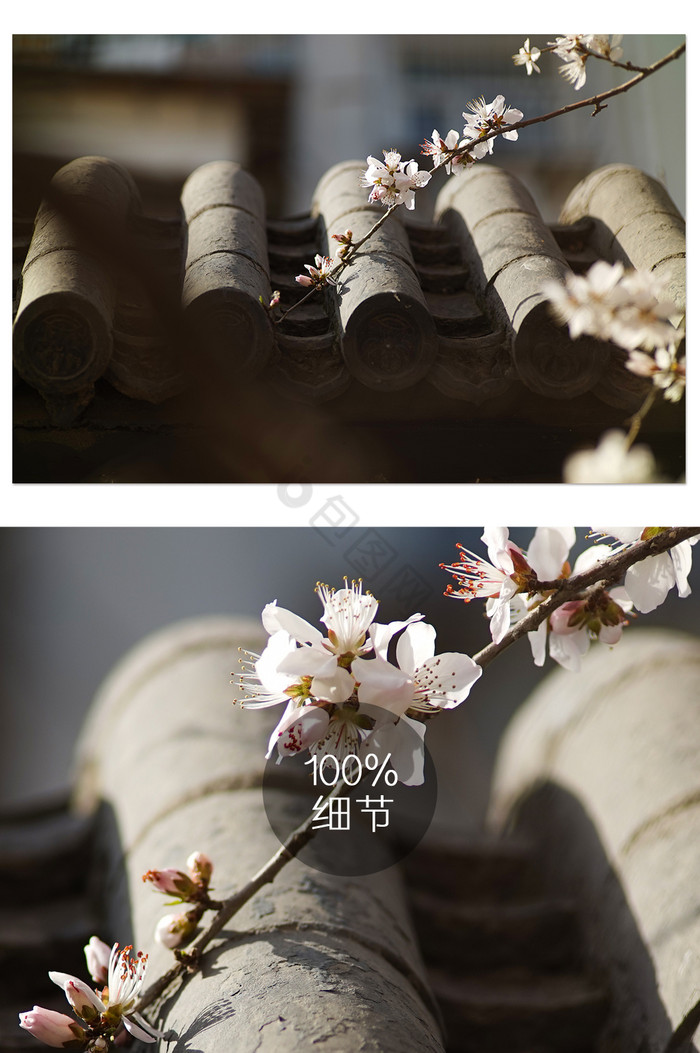 粉色桃花古风砖瓦建筑图片