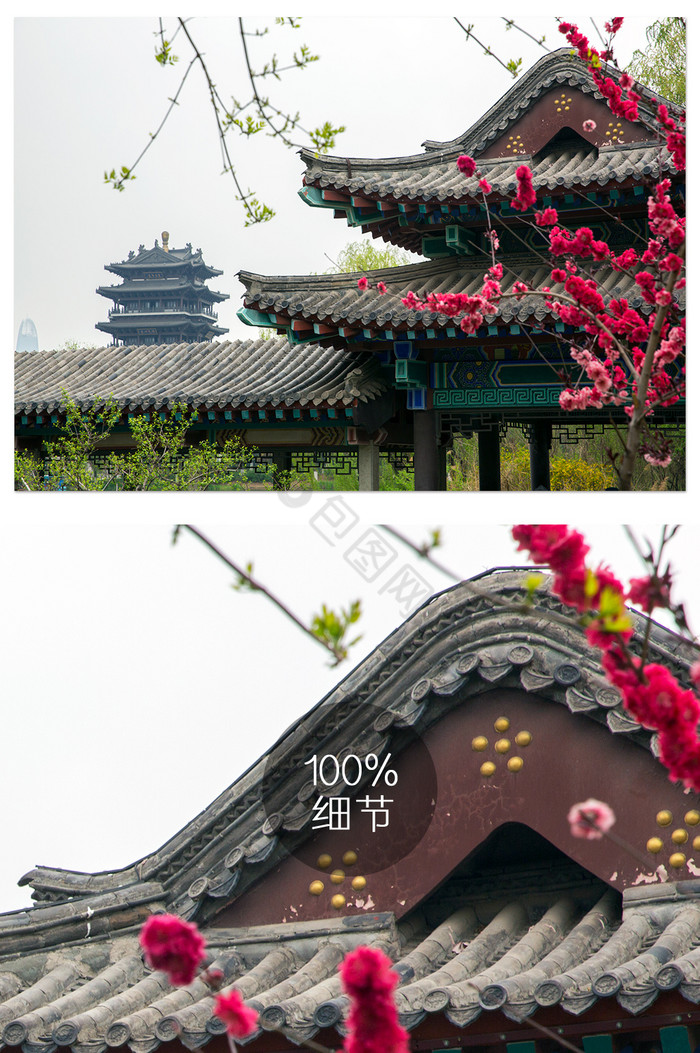 明湖红墙绿瓦古建春色图片