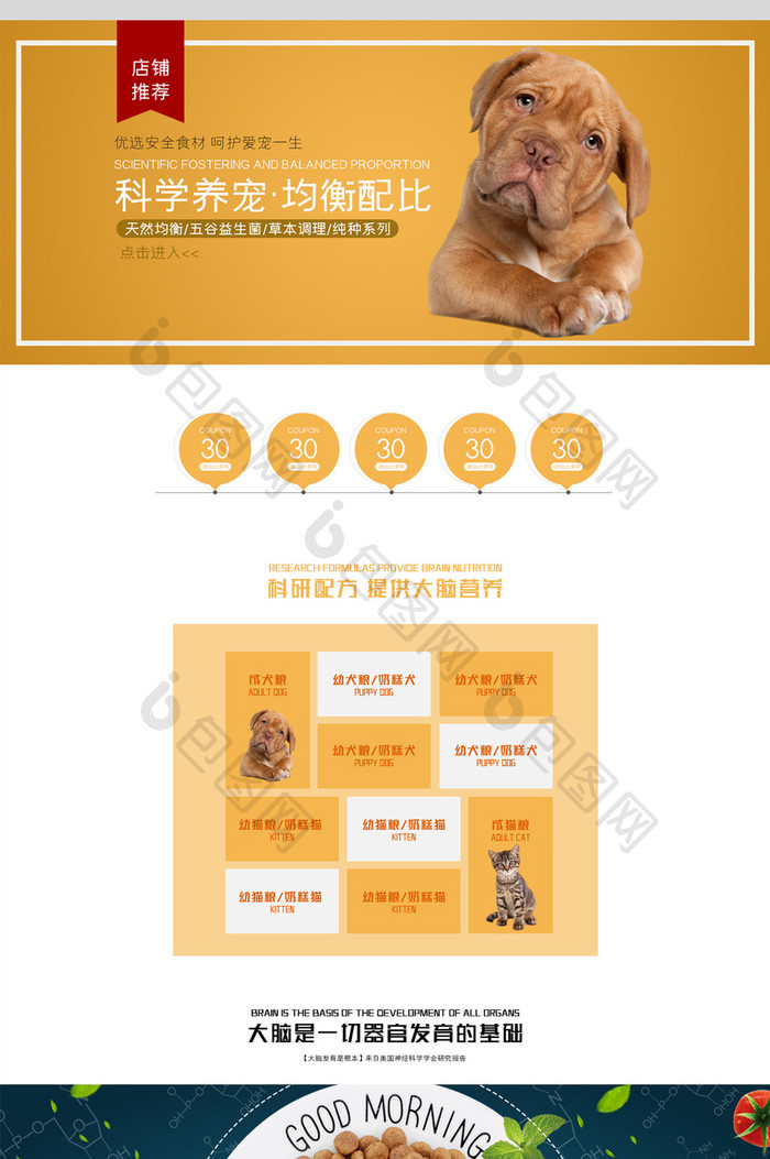 宠物用品猫粮狗粮psd电商首页模板设计