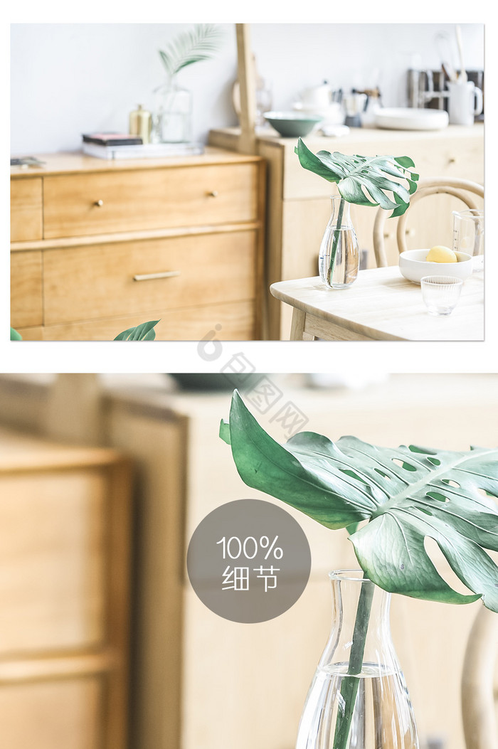 日式清新家居餐厅餐桌玻璃绿植静物摄影图片
