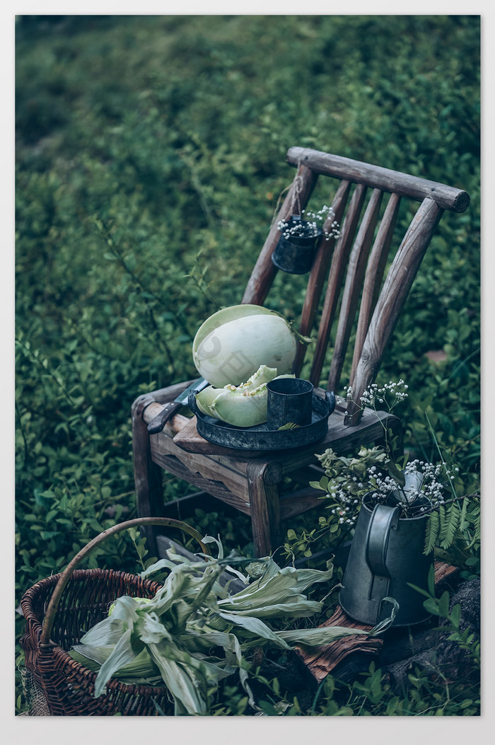 夏天户外绿色椅子瓜果玉米静物摄影图片97