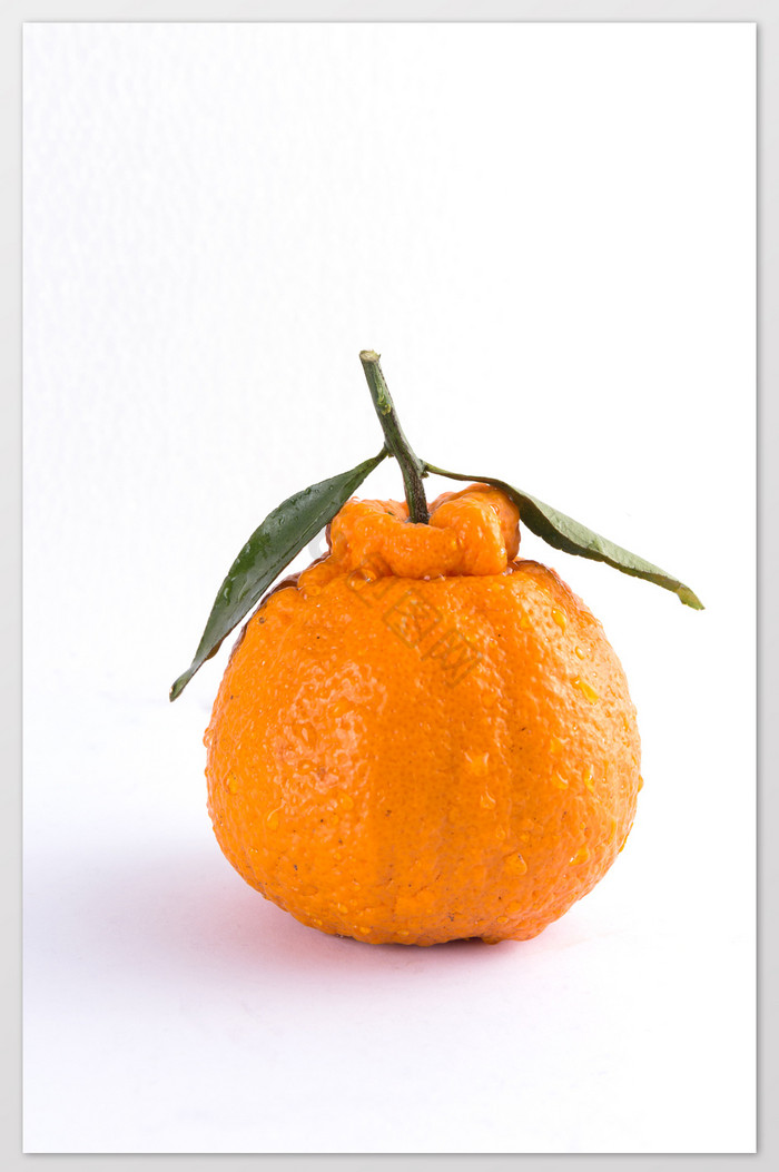 一个丑柑丑橘新鲜水果白色高清大图摄影图图片