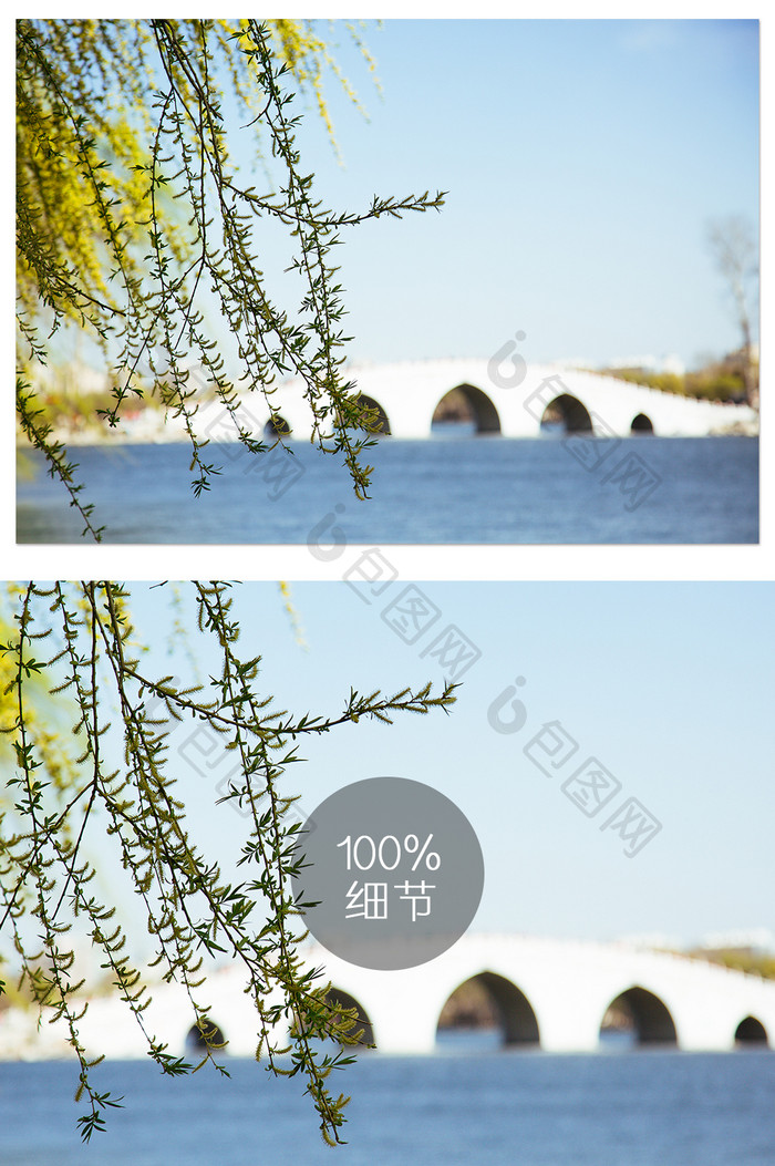 北京玉渊潭公园垂柳拱桥 摄影图