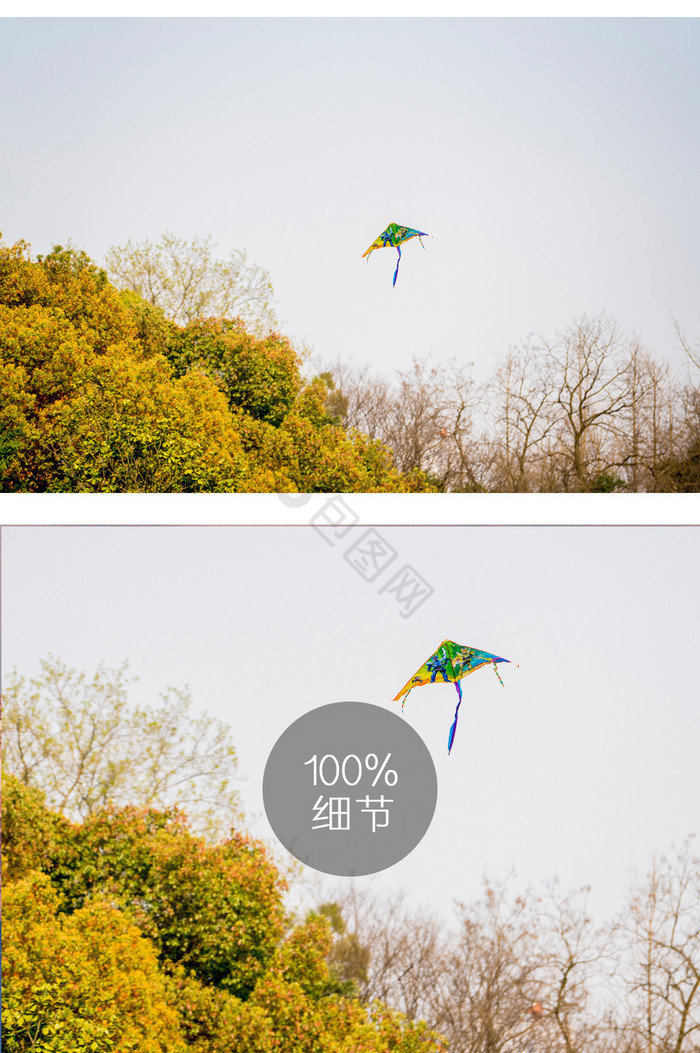 春日风筝摄影图片