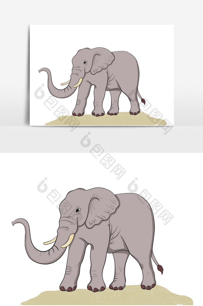 保护动物大象元素