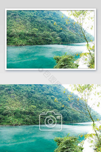 绿色河流树林摄影图图片