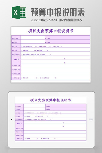 项目支出预算申报说明表Excel模板图片