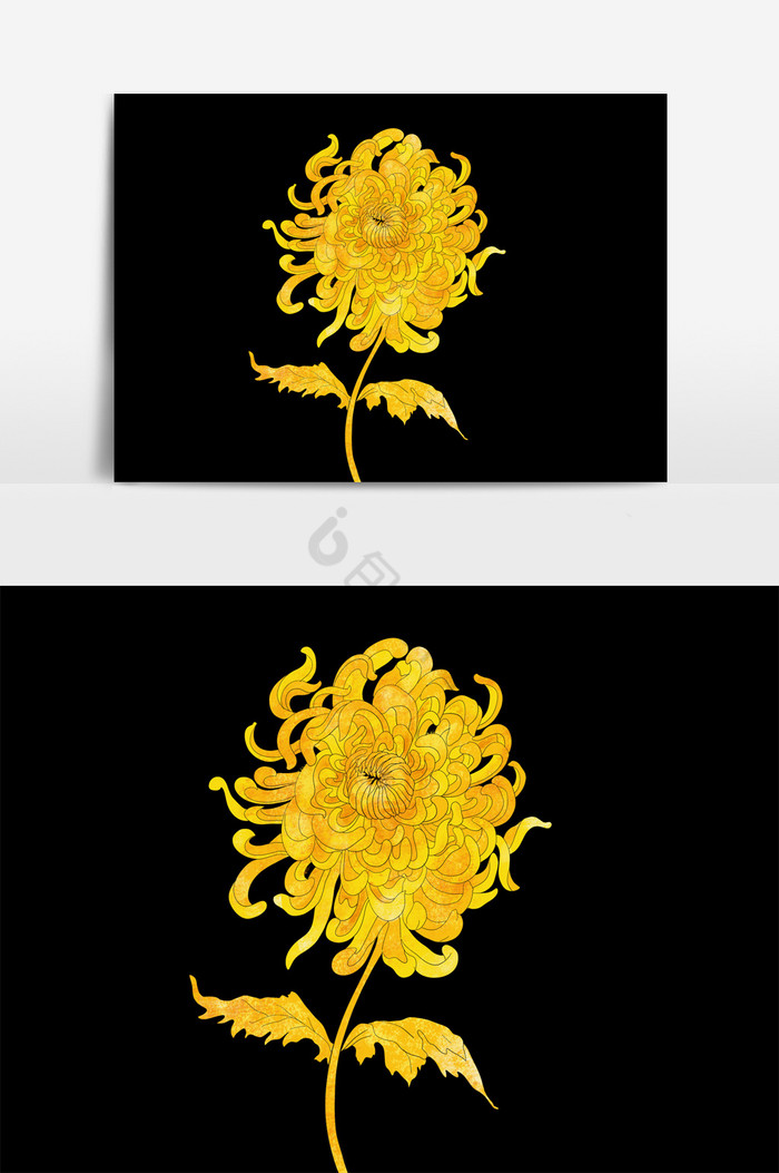 金色菊花图片