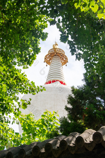 沈阳西塔延寿寺图片