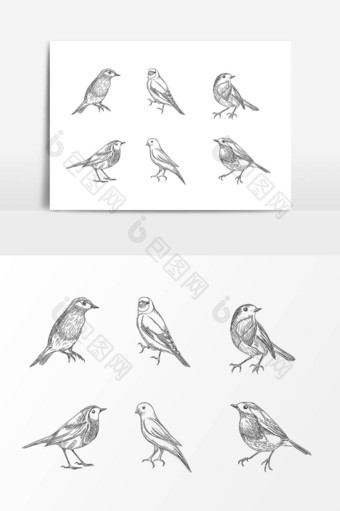 手绘线描小鸟设计元素图片