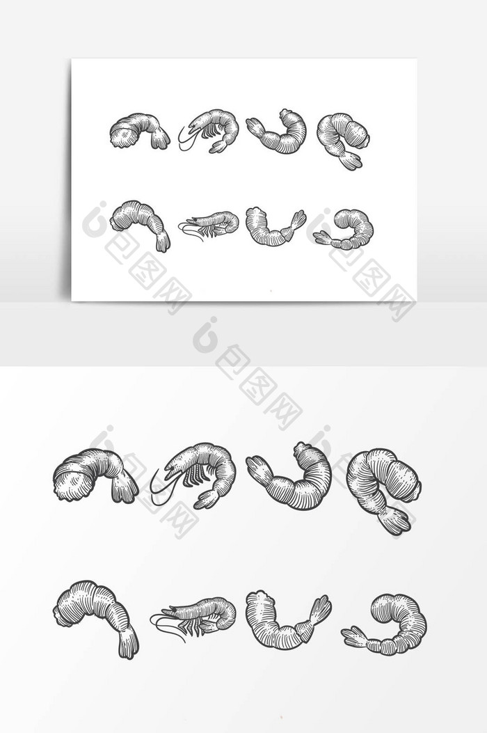 矢量线描虾设计素材