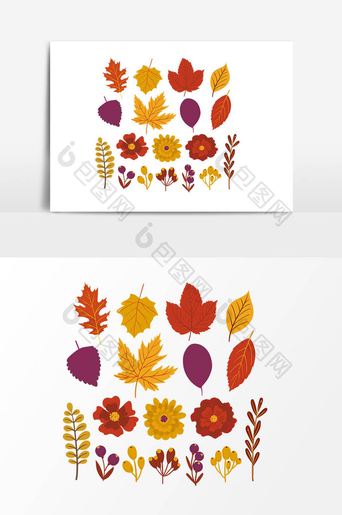 手绘秋季枫叶树叶设计素材