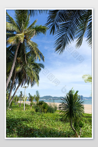 椰树沙滩蓝天三亚风景素材旅游景观高清摄影图片