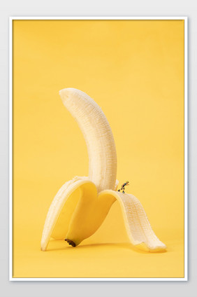 黄色香蕉趣味创意场景摄影图片