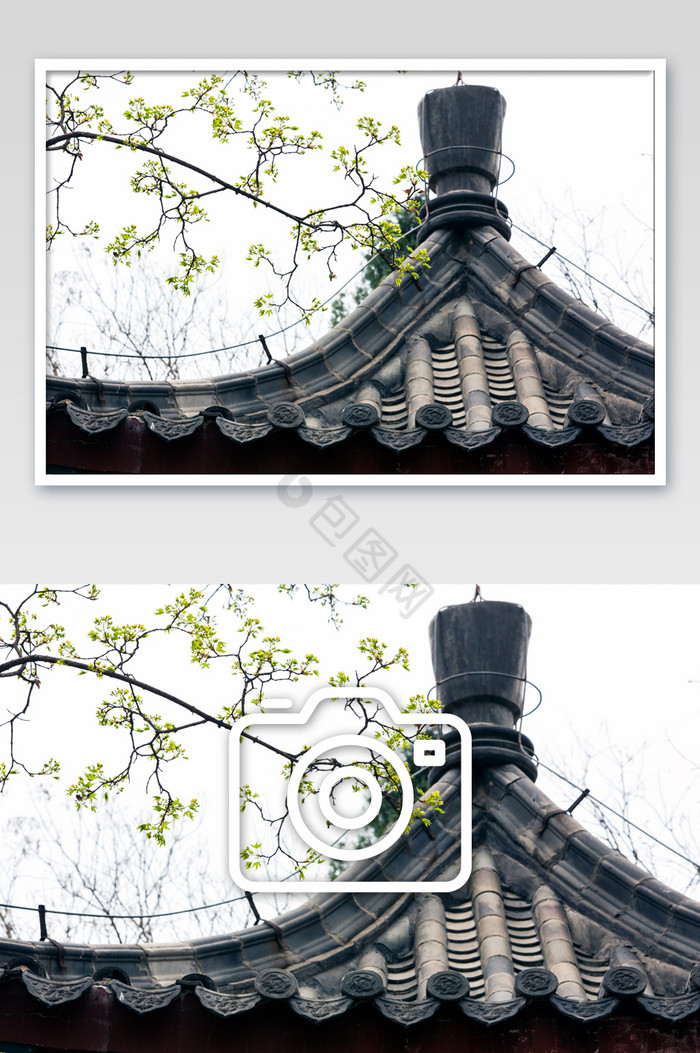 古风青砖绿瓦古建筑的春天图片