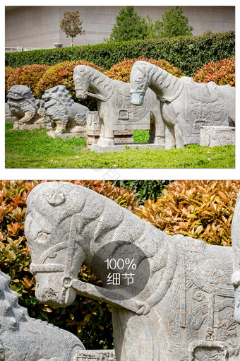 西安小雁塔马形狮形石雕摄影图片