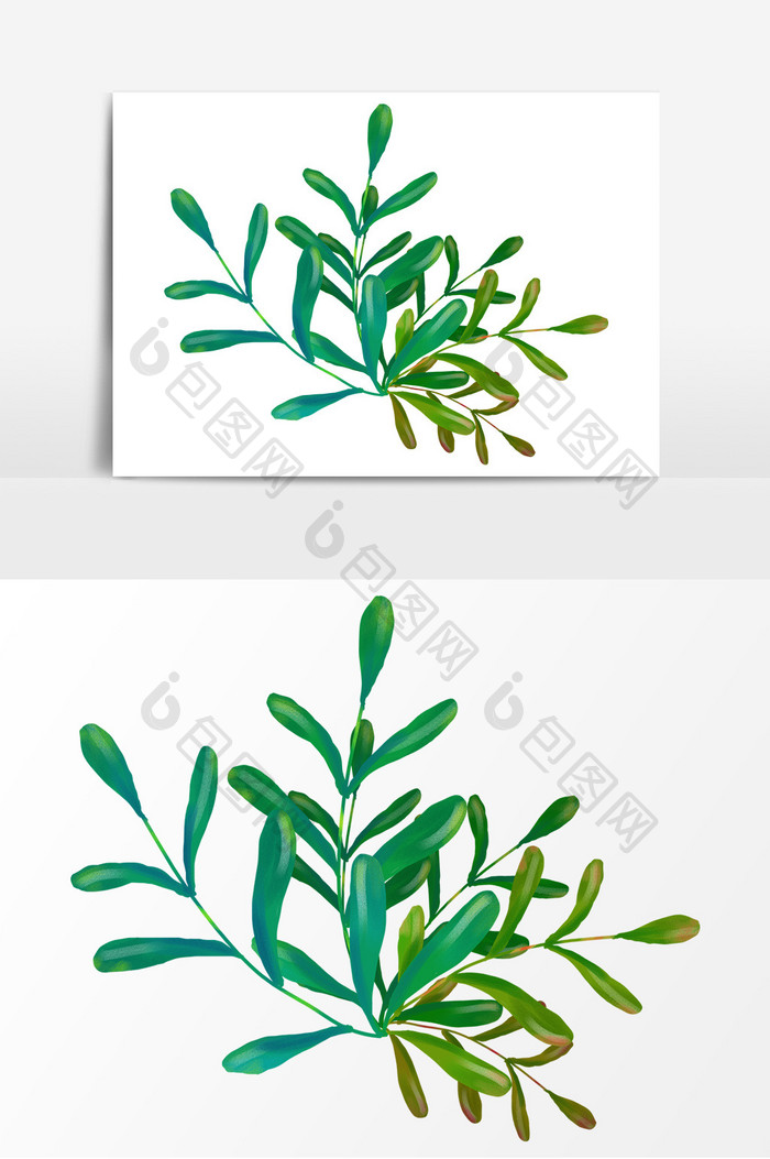 春天绿色植物插画装饰元素