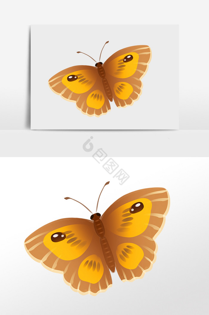 昆虫蝴蝶翩翩飞舞插画图片