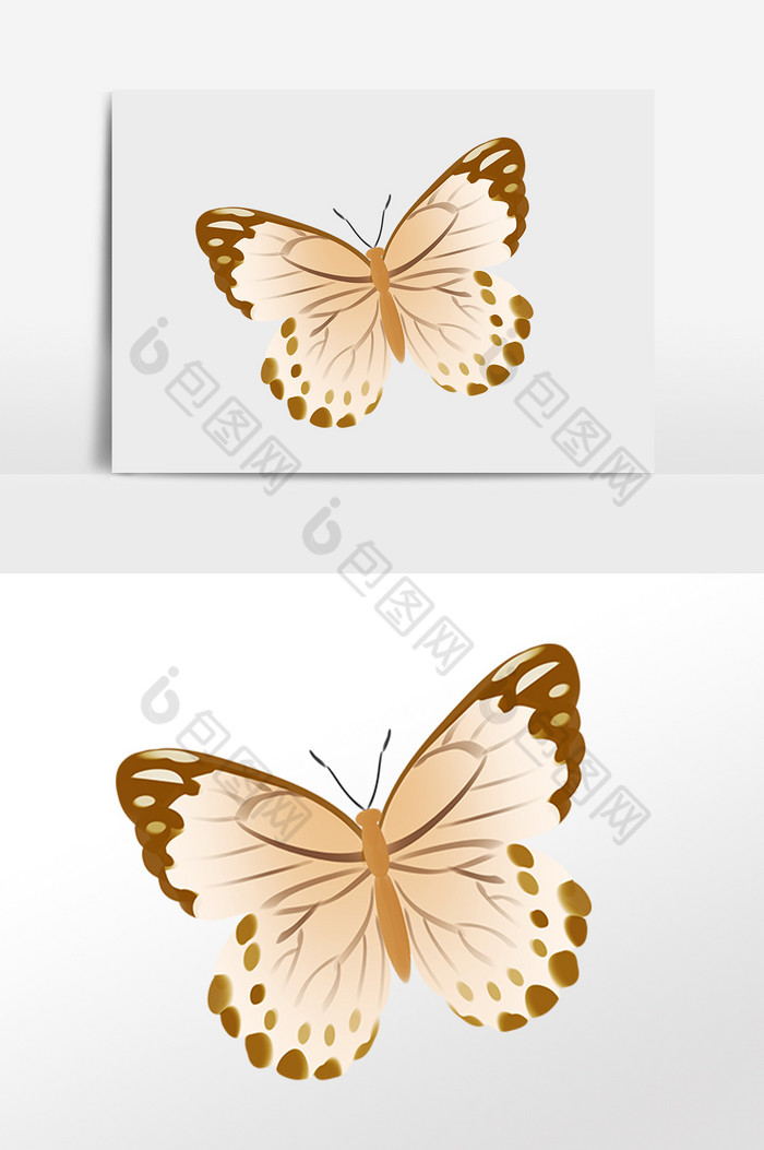 飞舞昆虫蝴蝶插画图片图片