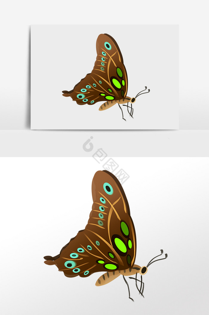 偏偏飞舞昆虫蝴蝶插画图片