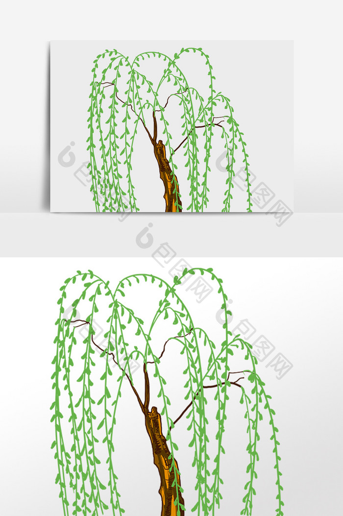 手绘春季绿色植物柳树树木插画