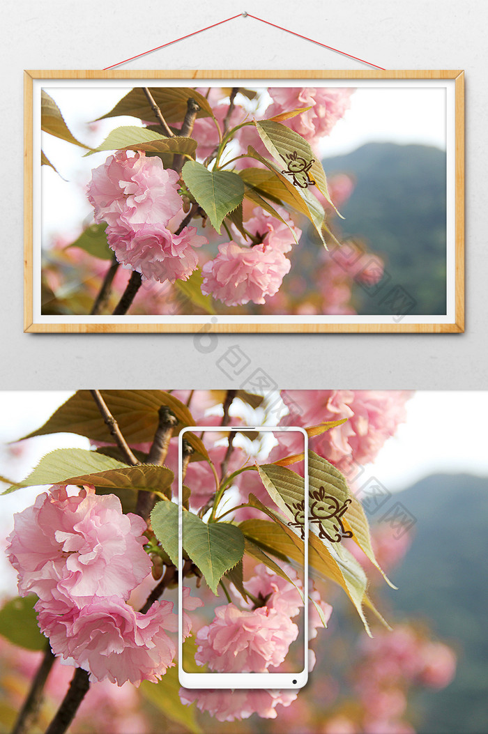 春天清新粉色花朵创意摄影插画gif