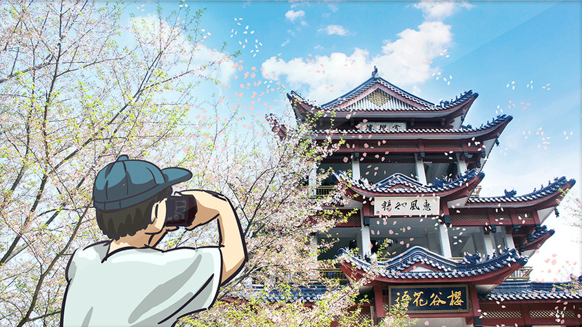 江苏无锡鼋头渚樱花谷创意摄影插画gif