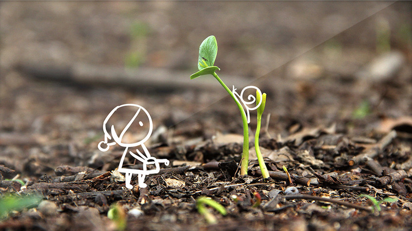 春天种子发芽创意摄影插画gif