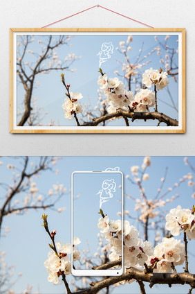 春天桃花创意摄影插画gif