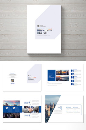 蓝色简约 大气企业整体画册设计