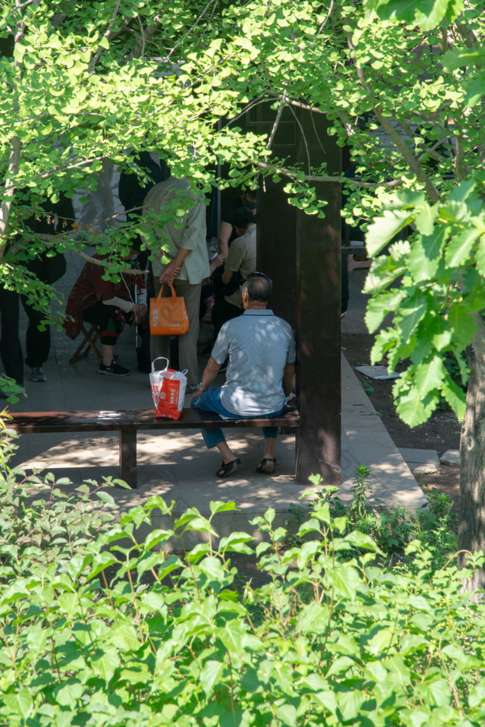 夏天公园中乘凉的老年人