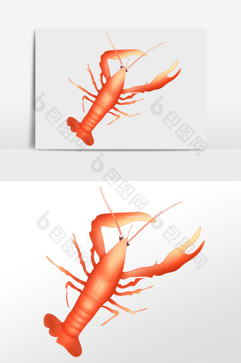 手绘海洋生物水产红色龙虾插画图片