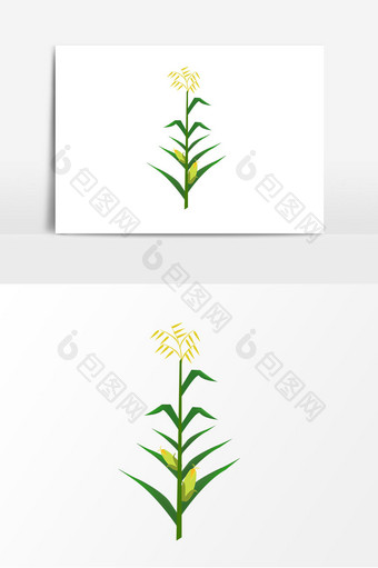 春季玉米植物矢量元素图片