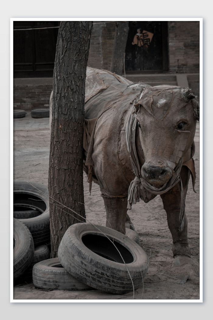 灰色劳动节古城旅游景点牛形雕像摄影图片