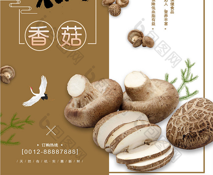 简洁天然美味香菇有机蔬菜山珍海报
