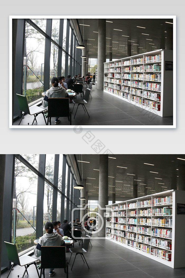 图书馆认真看书的人摄影图片