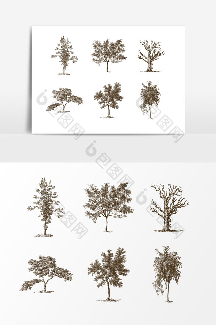 手绘素描树木设计素材