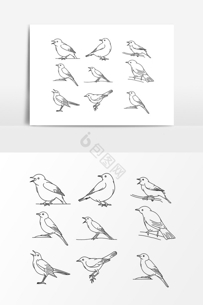 线描飞禽动物图片