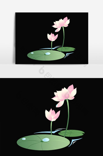 手绘水植物粉色两朵荷花插画图片