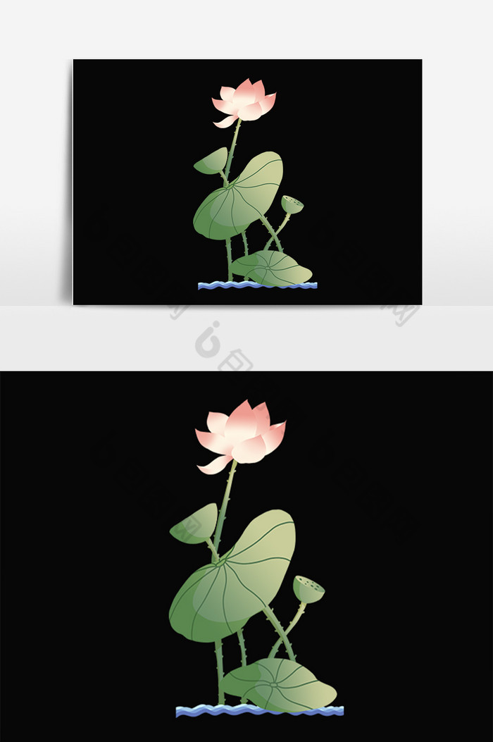 水植物荷花睡莲插画图片图片