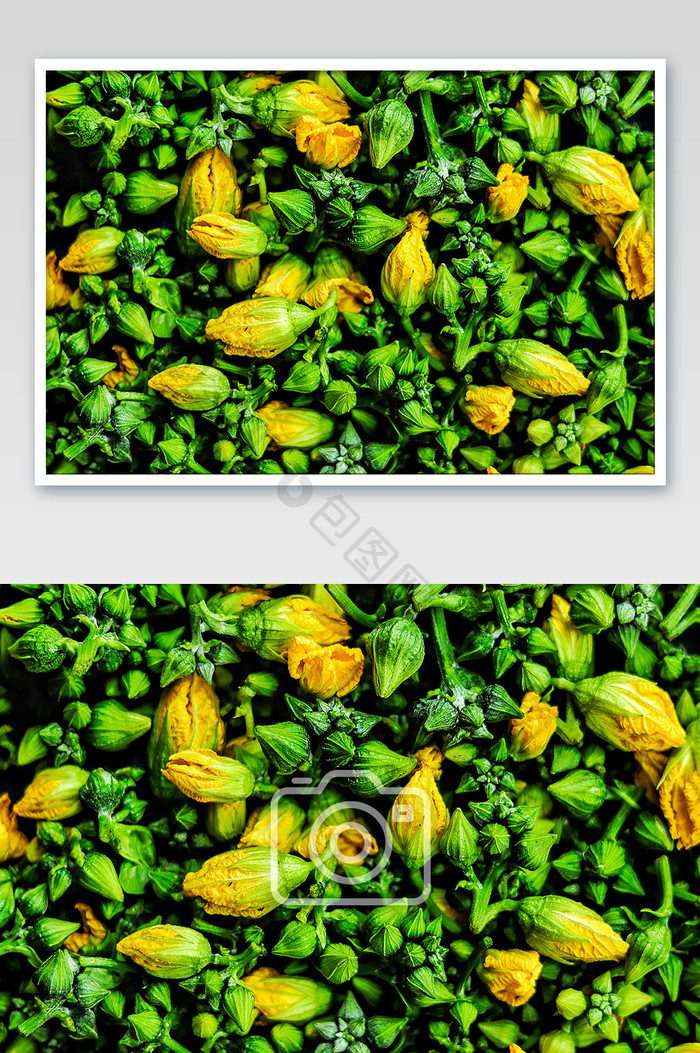 绿油油的菜花蔬菜丝瓜花摄影图片
