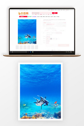 3比4主图背景蓝色海洋动物广告背景图